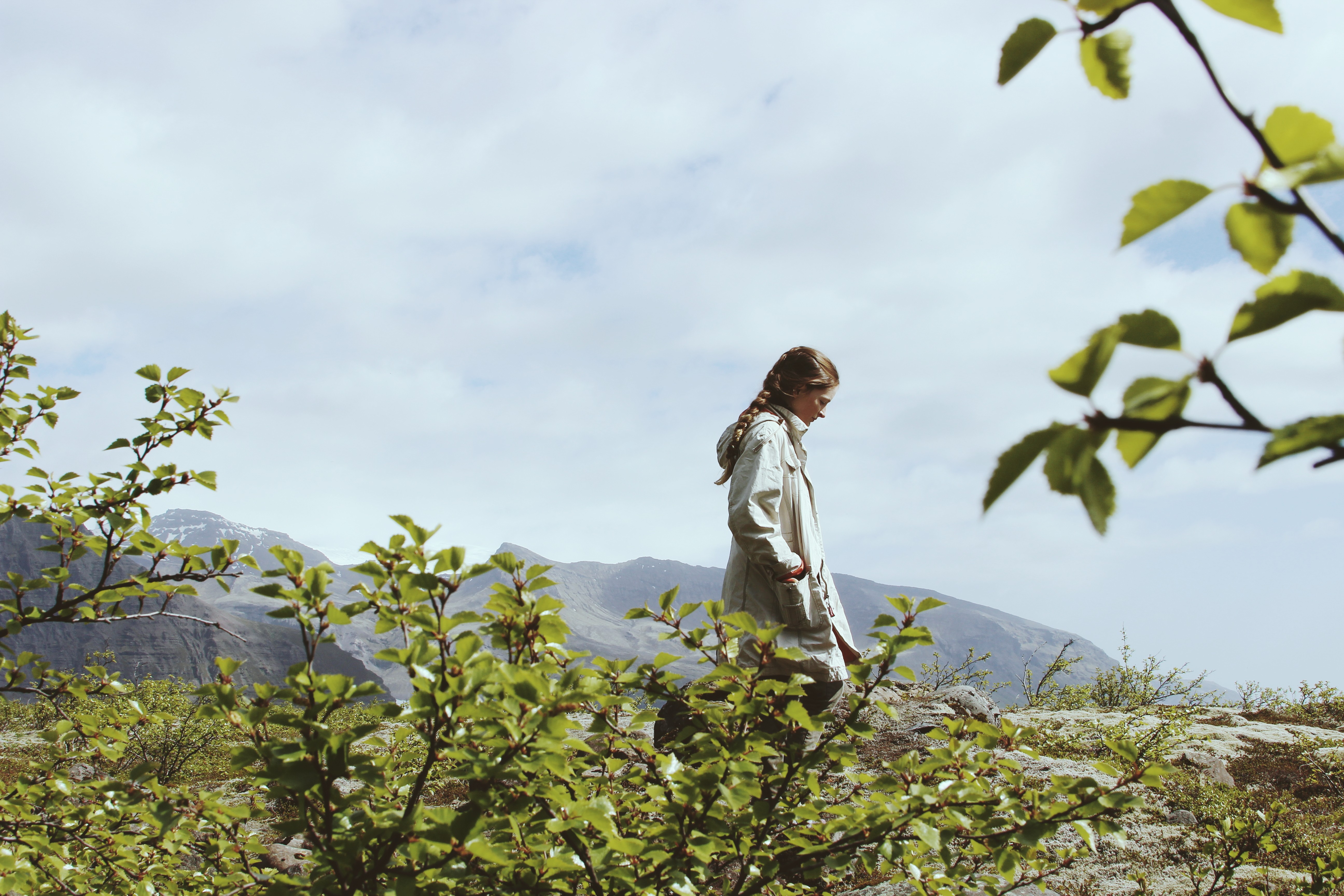 Image courtesy of Nicholas Allen Morgan