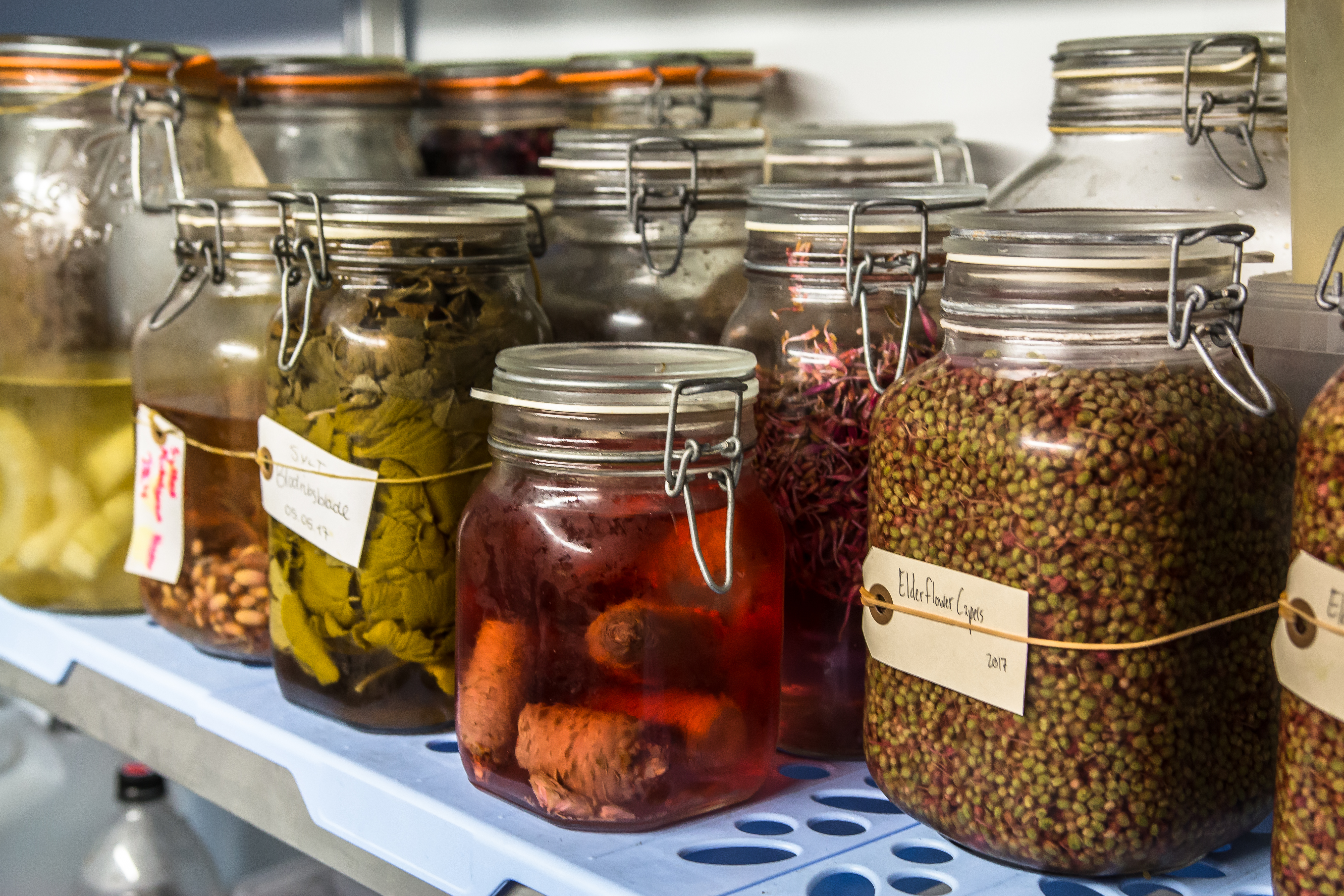 Image credit Claudia Zaltenbach