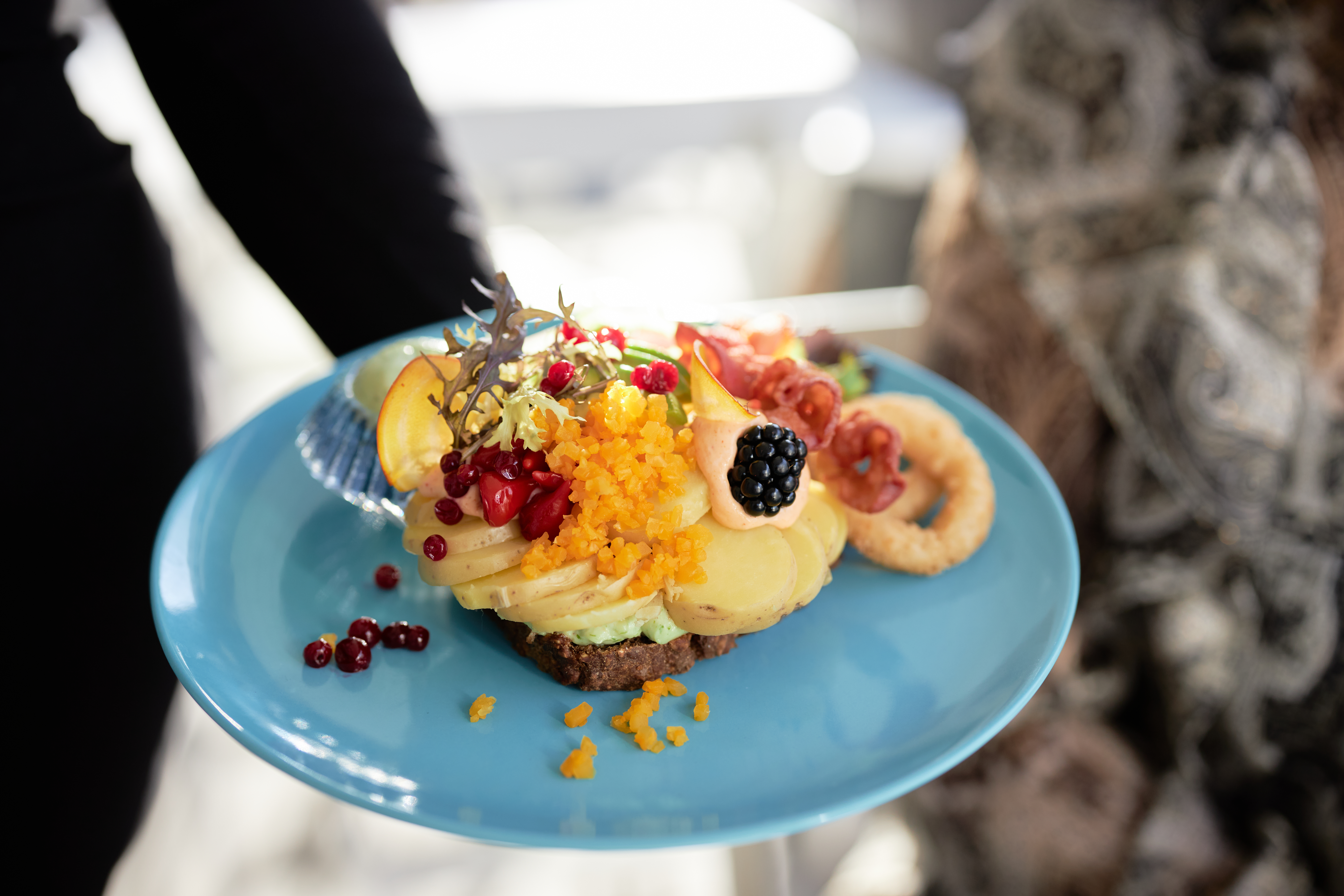 Image credit Johny Kristensen