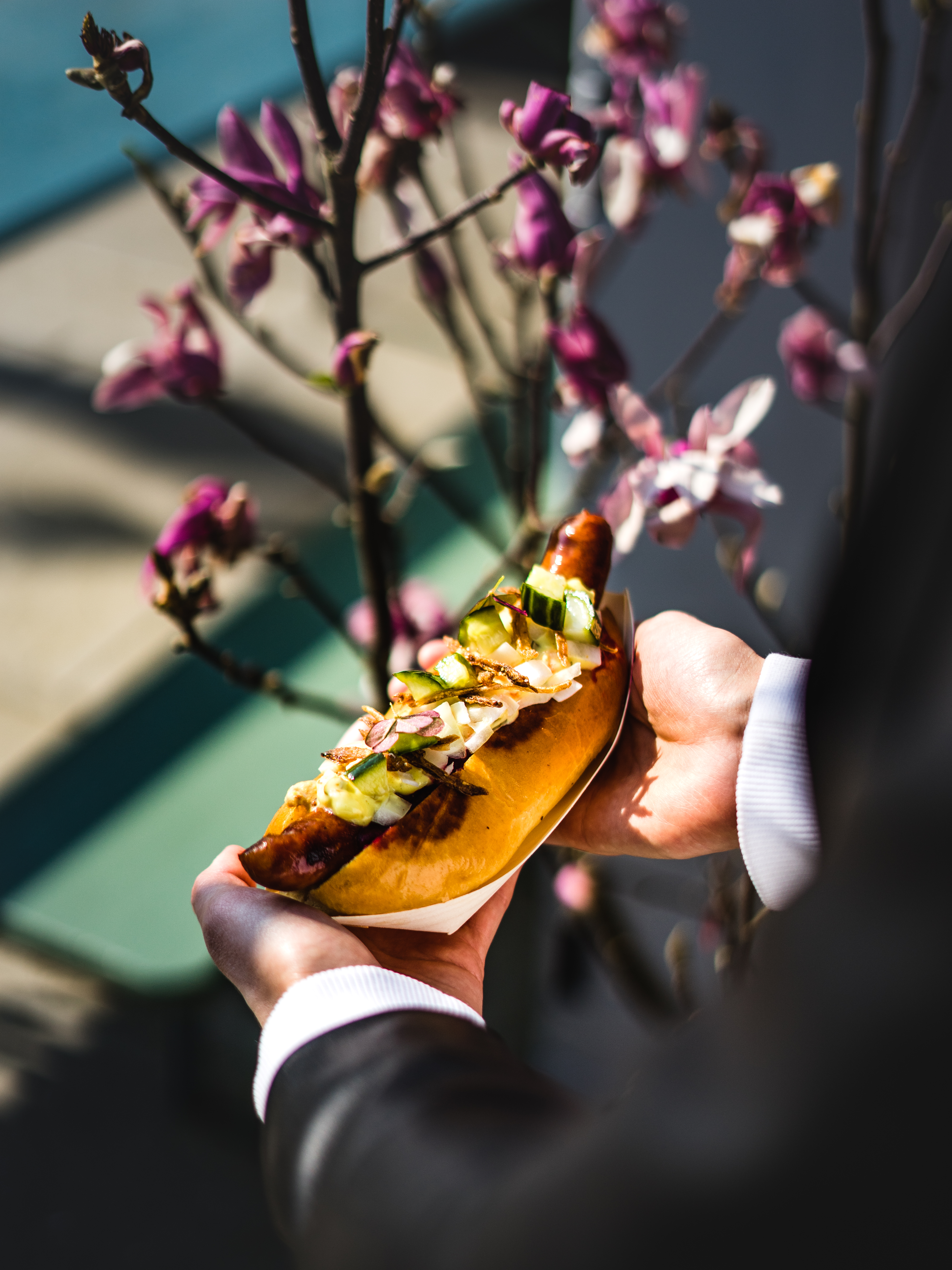 Image credit Rolands Varsbergs