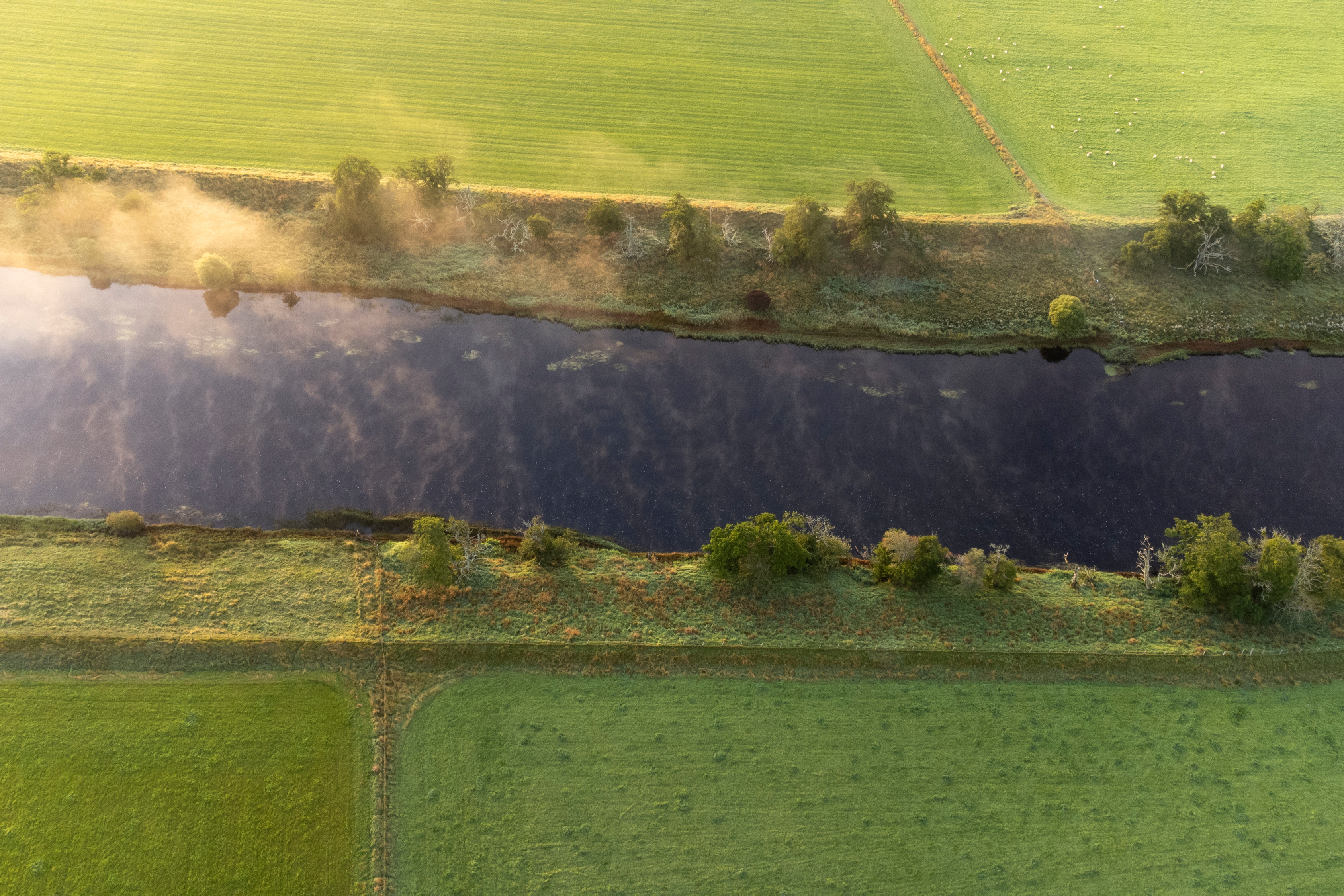 Image courtesy of Mark Hamblin and scotlandbigpicture.com