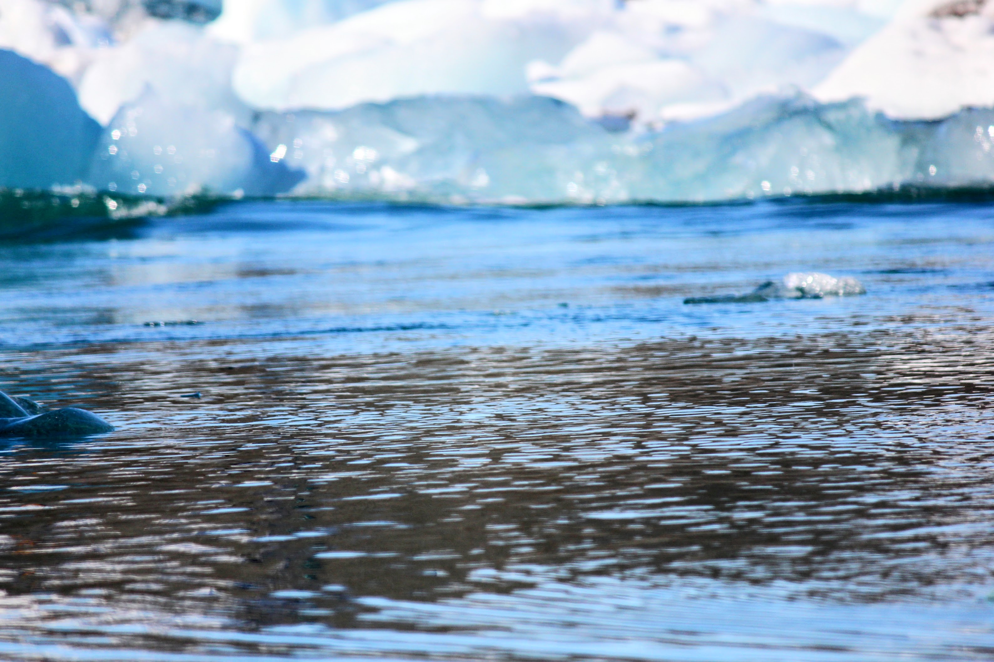 Image courtesy of Emily Iris Degn