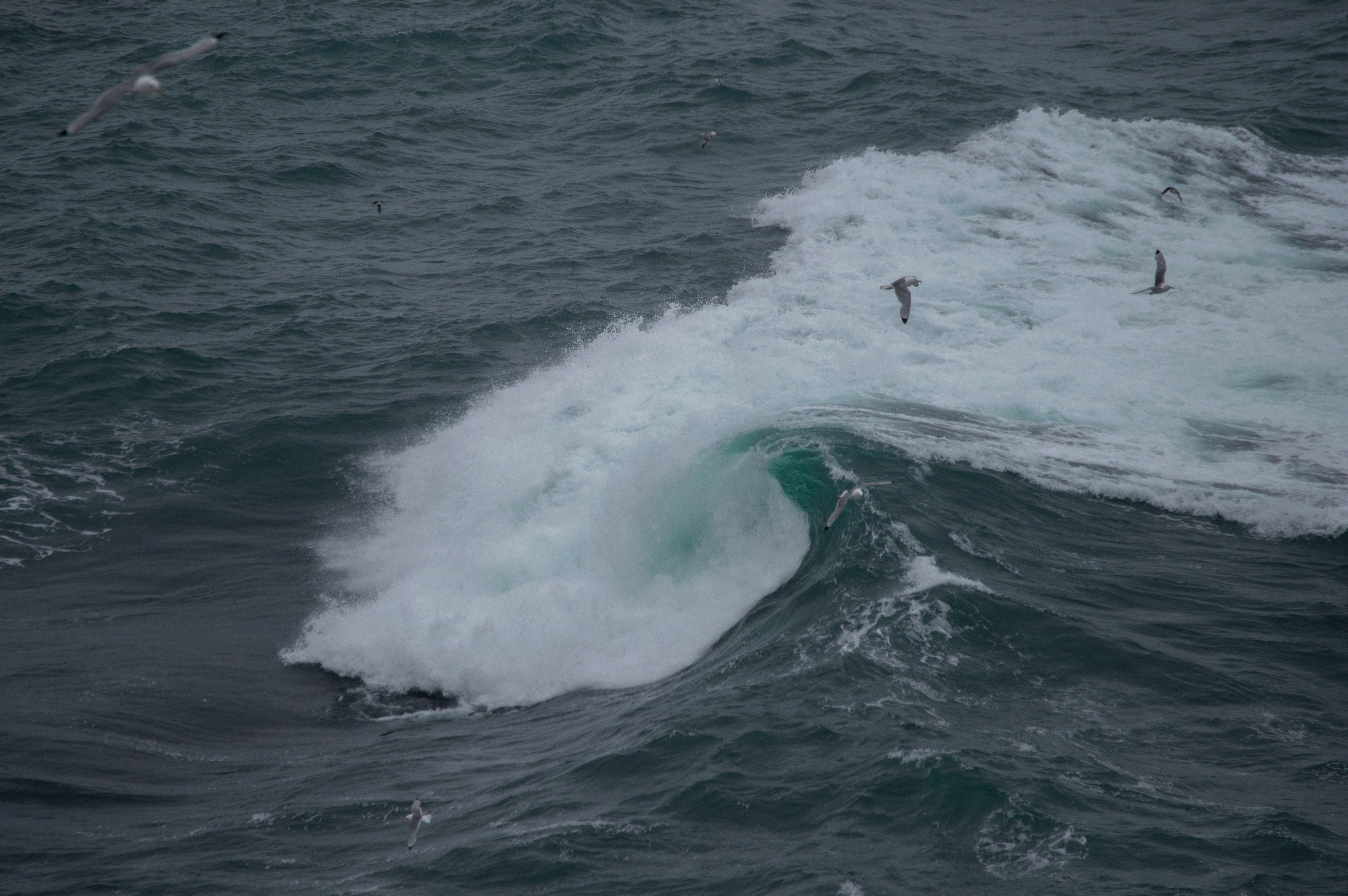 Image courtesy of Gabby Granillo