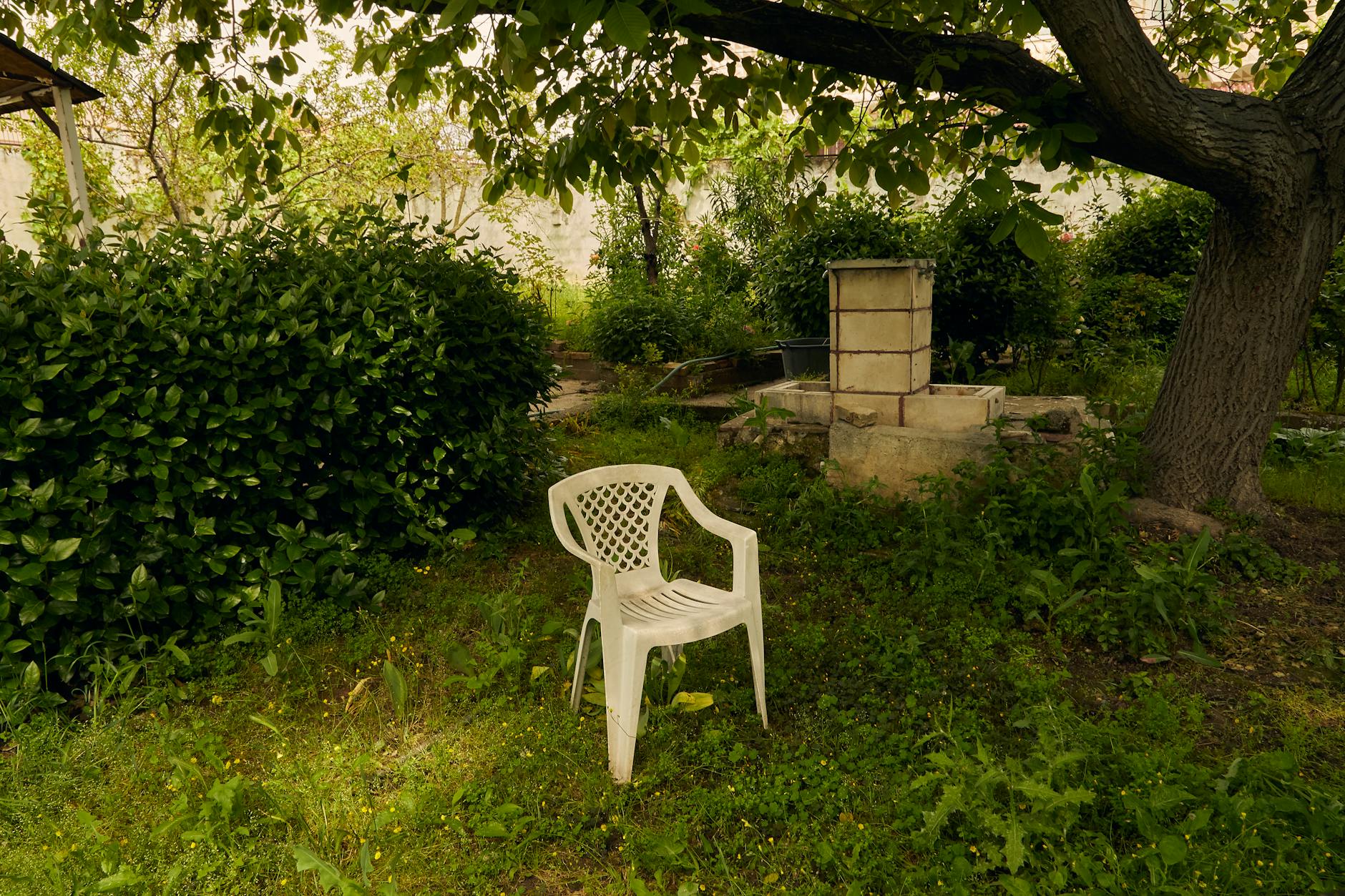 white chair in backyard tree shade summer day green lush lawn