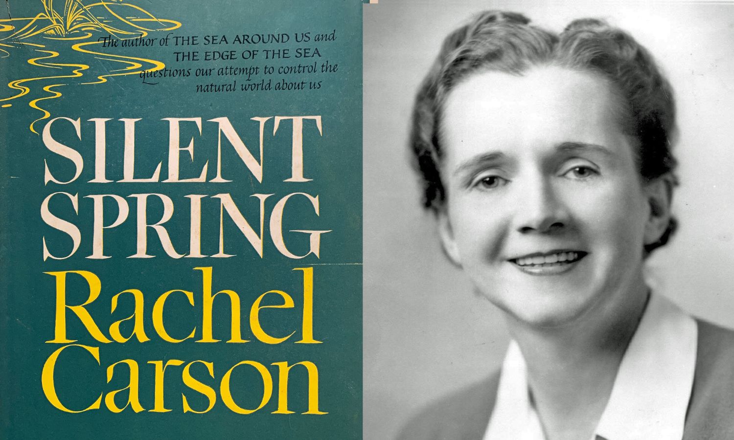 Silent Spring book cover and author headshot of Rachel Carson