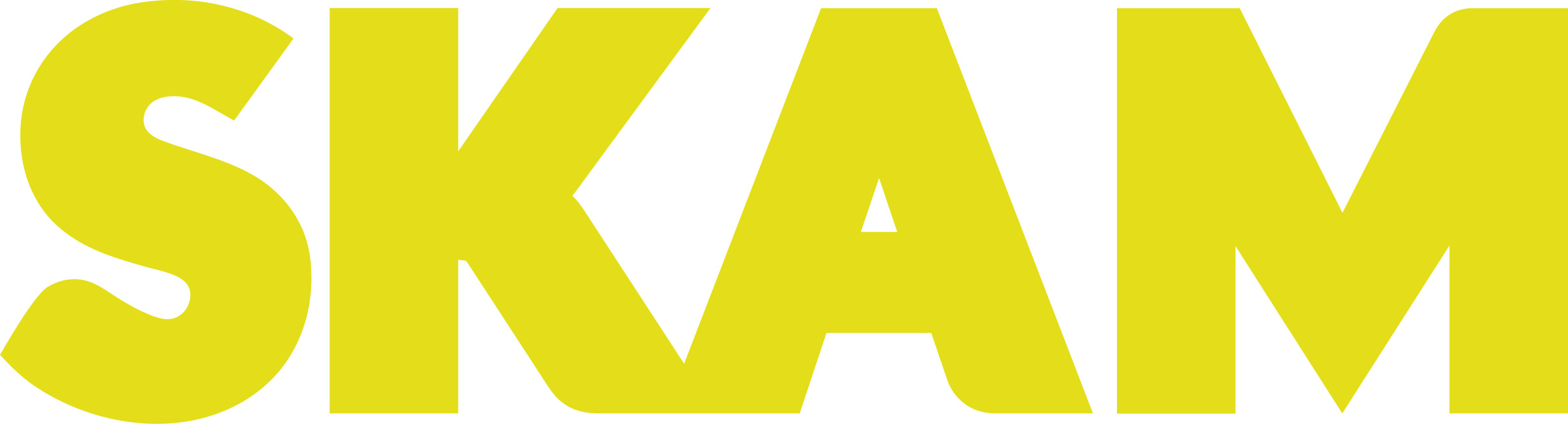 SKAM TV Show Title
