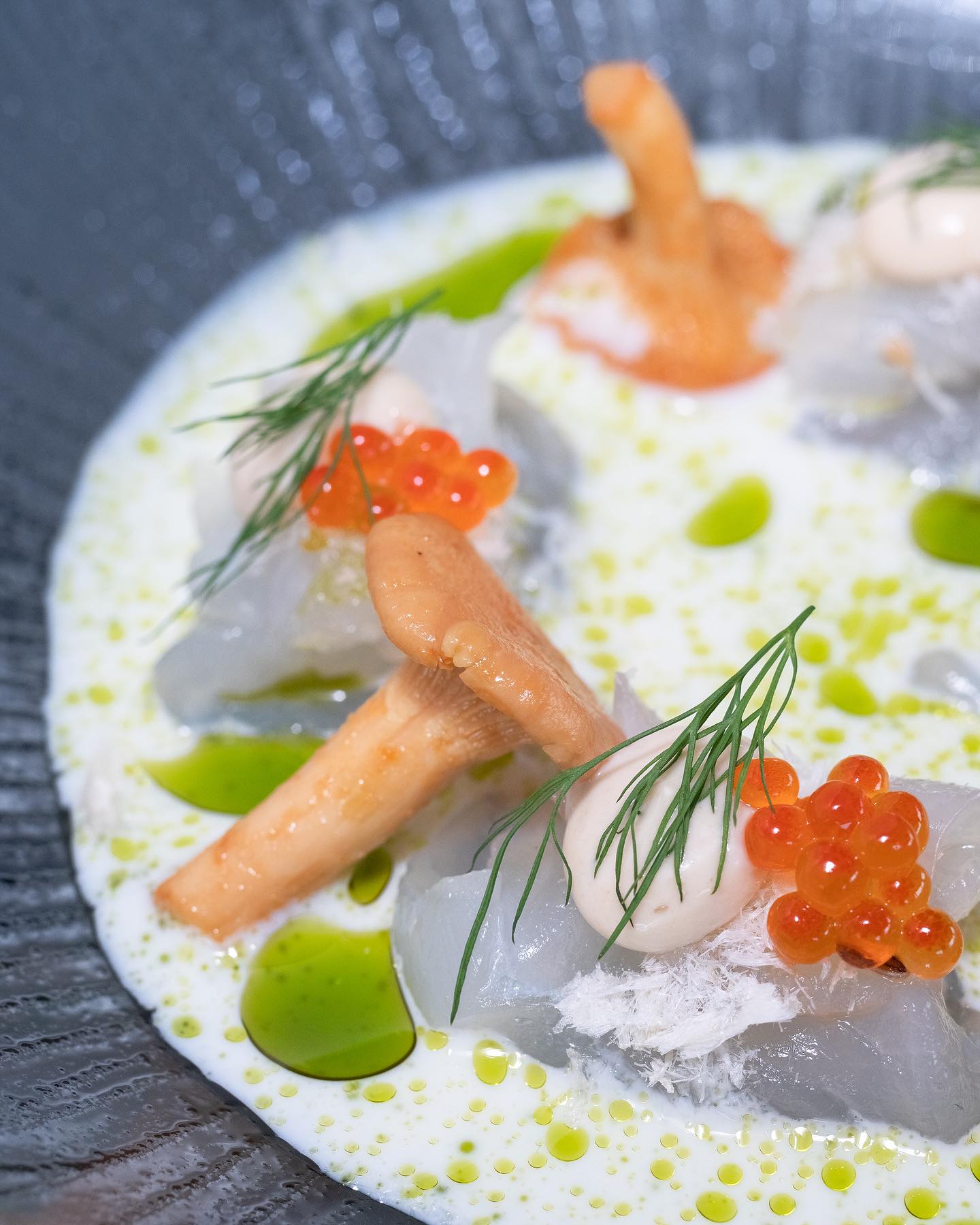 Fiskekompaniet Tromso Nordic food Scandinavian cuisine