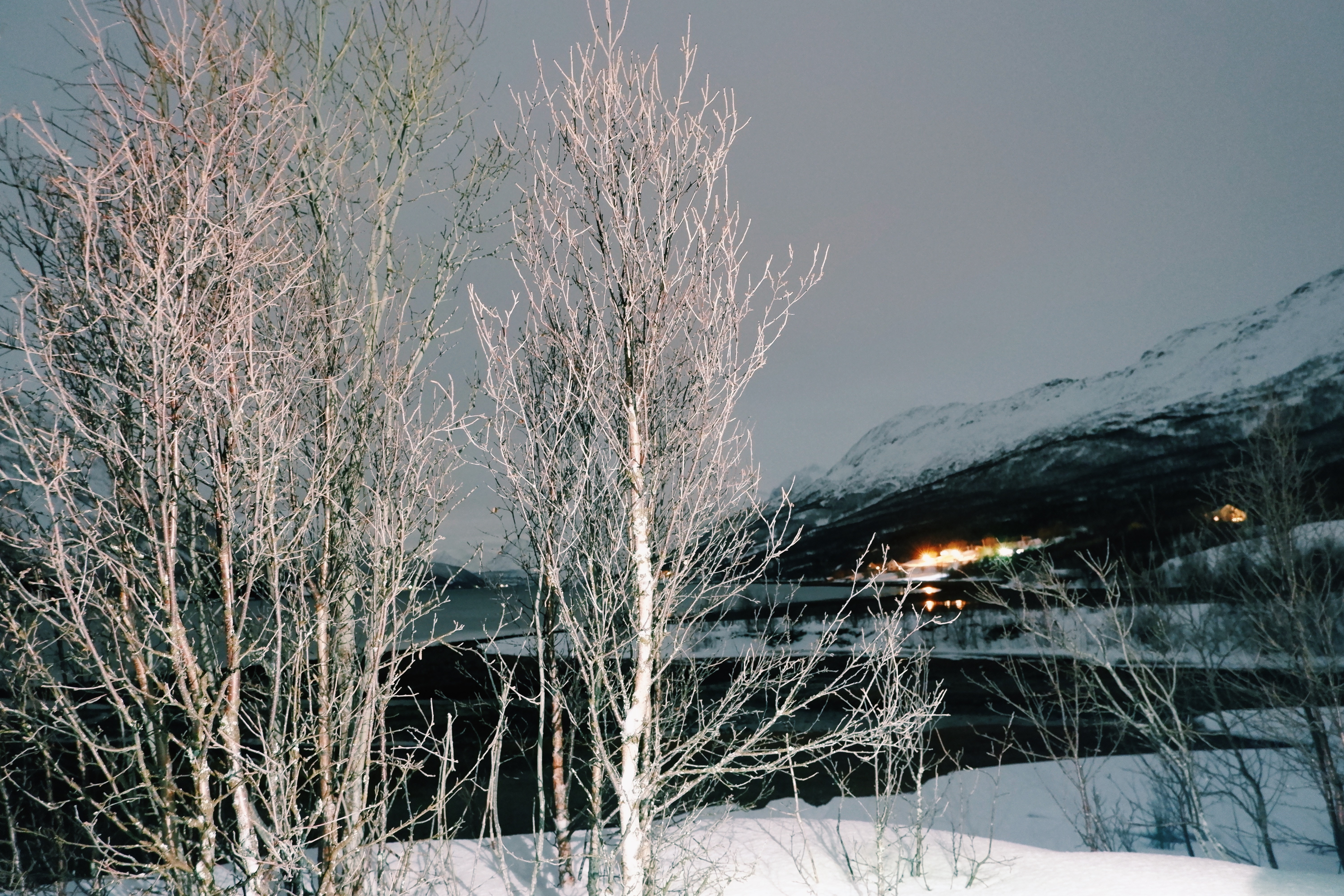 fjord Tromso Norway at night