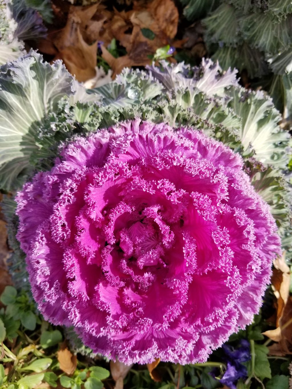 Community gardening is sparking&nbsp;change