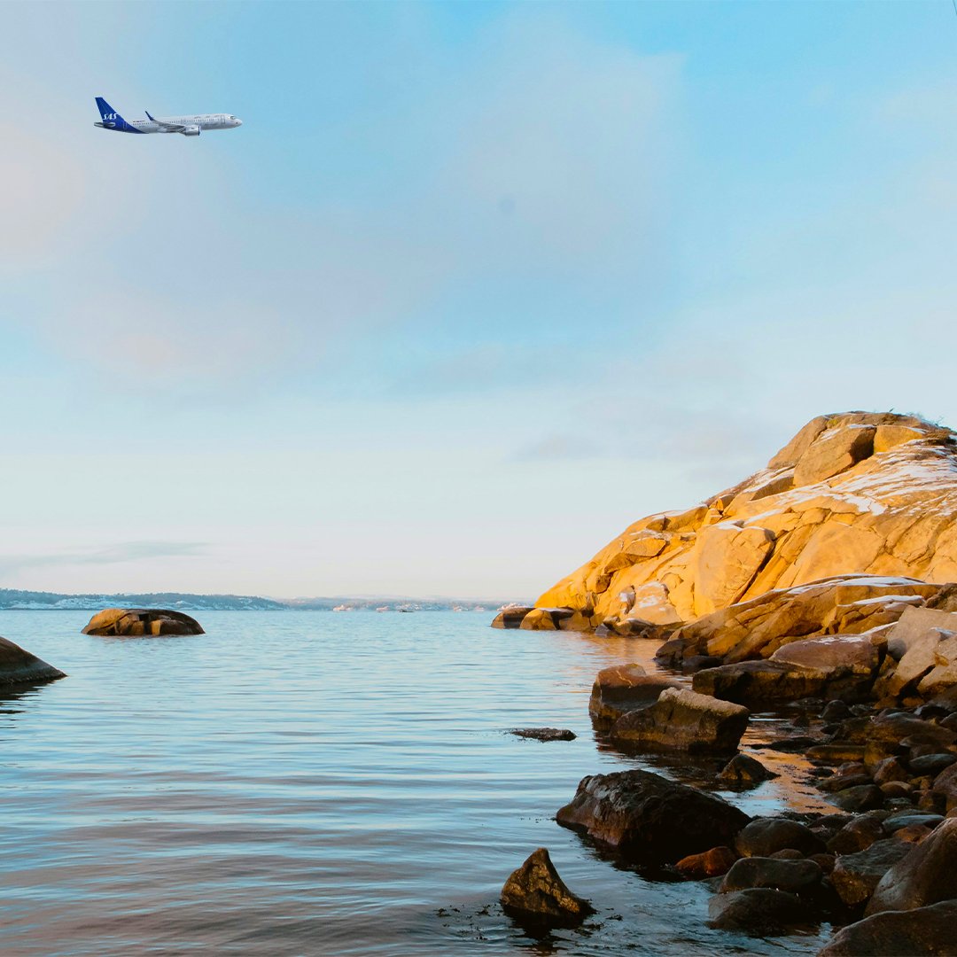 scandinavian airlines denmark ocean travel airplane