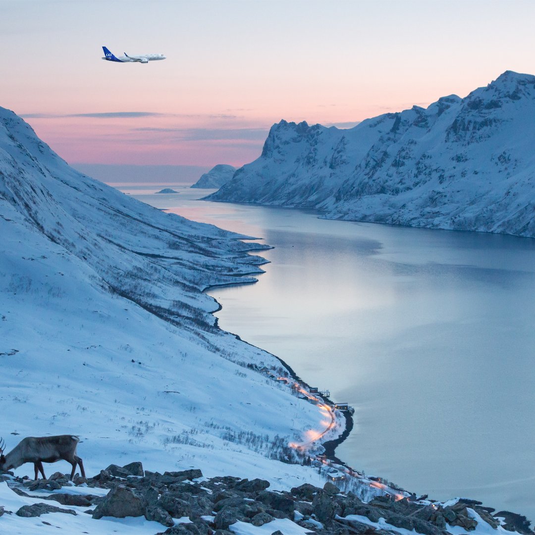 scandinavian airlines norway fjords travel airplane reindeer