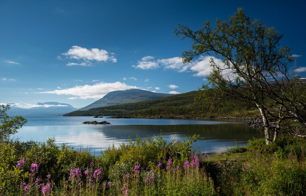 Abisko National Park lake landscape in June