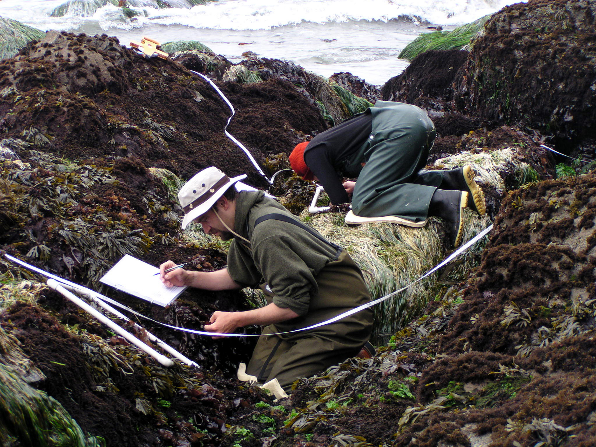 Tidepool_monitoring_Fradkin_rangers_working_research_natural_resources_NPS_photo_science_2005