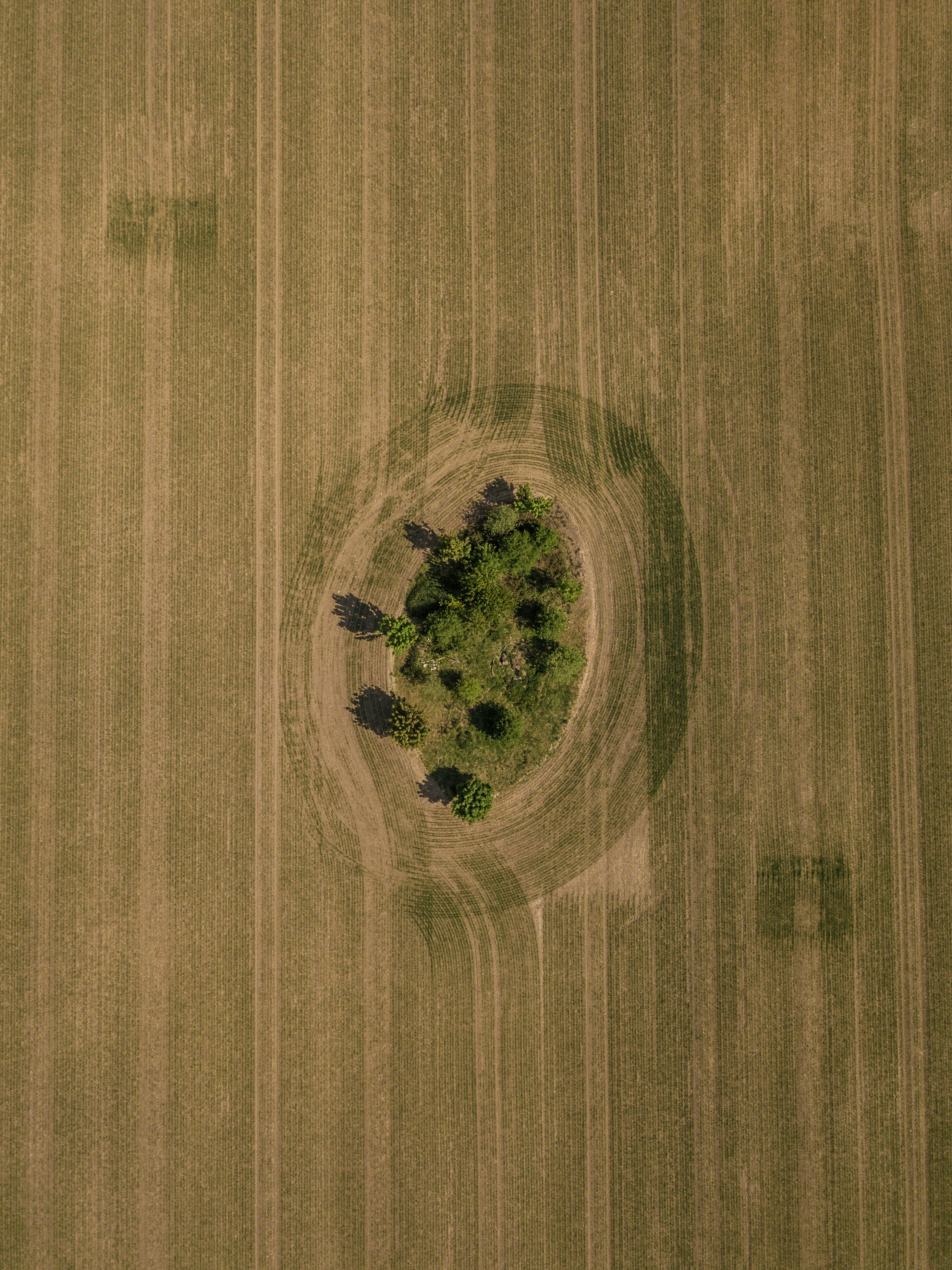 landscape land art nature field grass ethereal spiritual pagan trees green