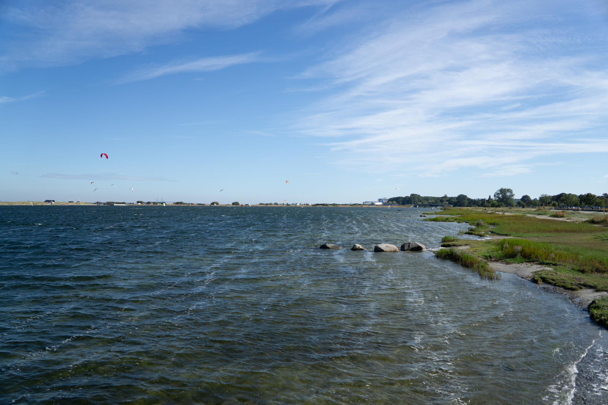 Copenhagen summer family community park beach walking nature marsh walking