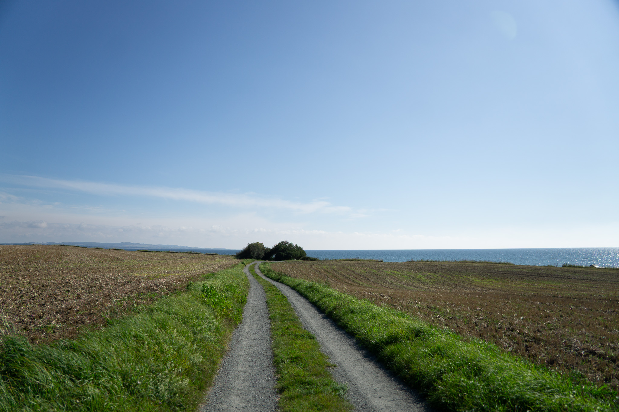 Copenhagen summer family community park Stevns Klint farm walking nature