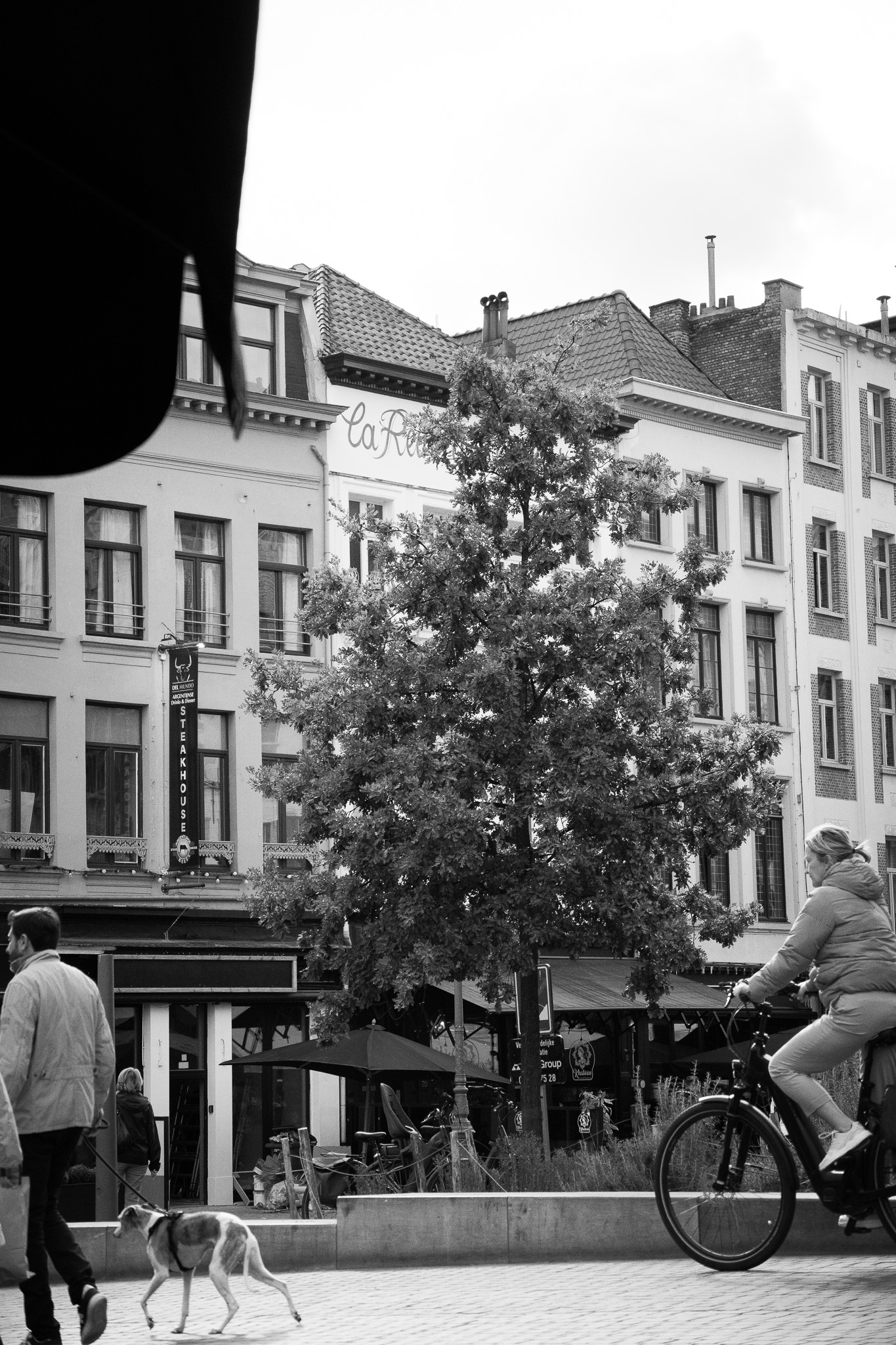 Antwerpen belgium architecture black and white Belgian
