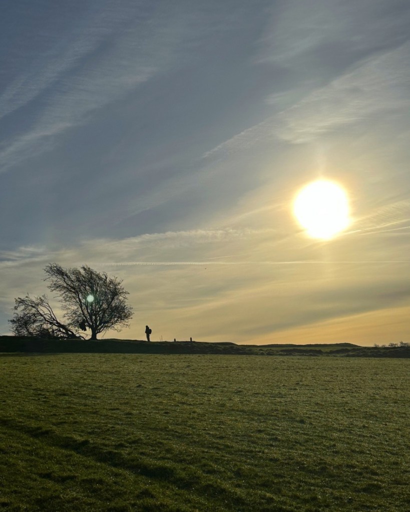 ireland irish folklore countryside tree grass field farm sky sun