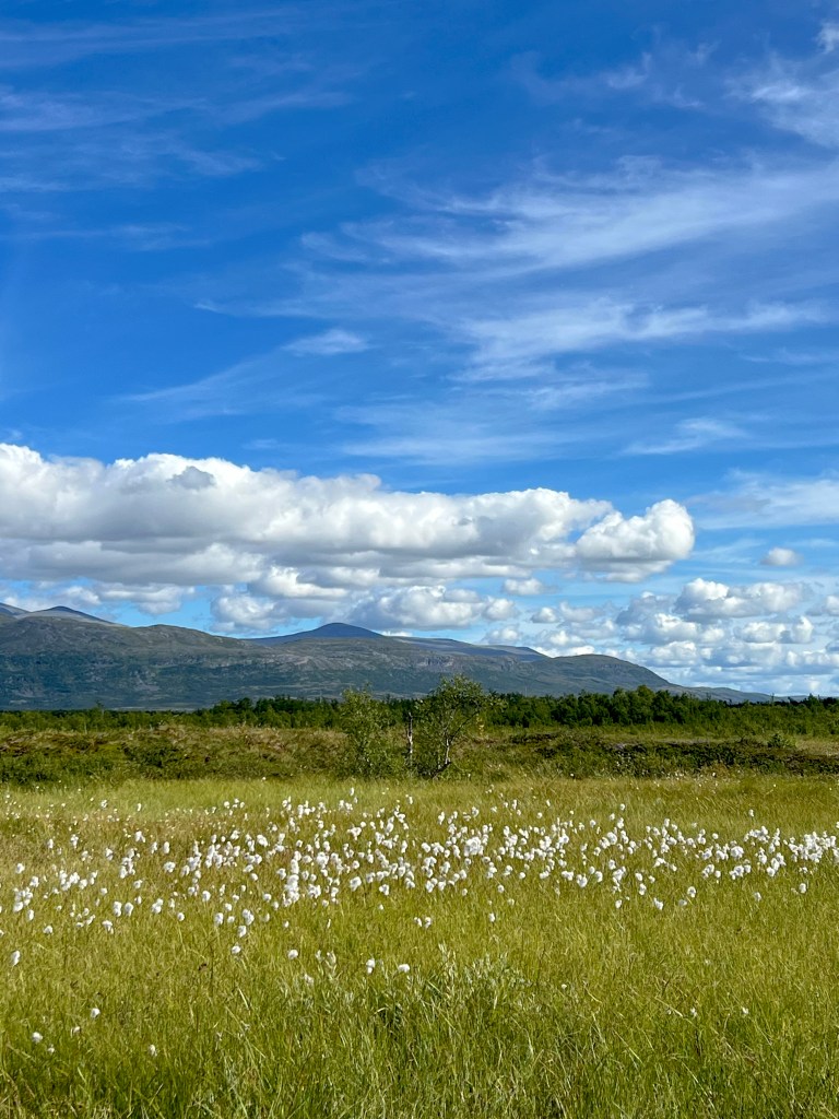 abisko sapmi sami finland nordic meadow hills scandinavia nordics nature