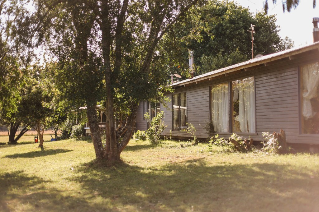 guest house cabin ecotourism home trees farm