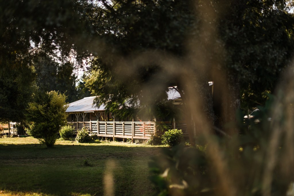 guest house cabin ecotourism home trees farm