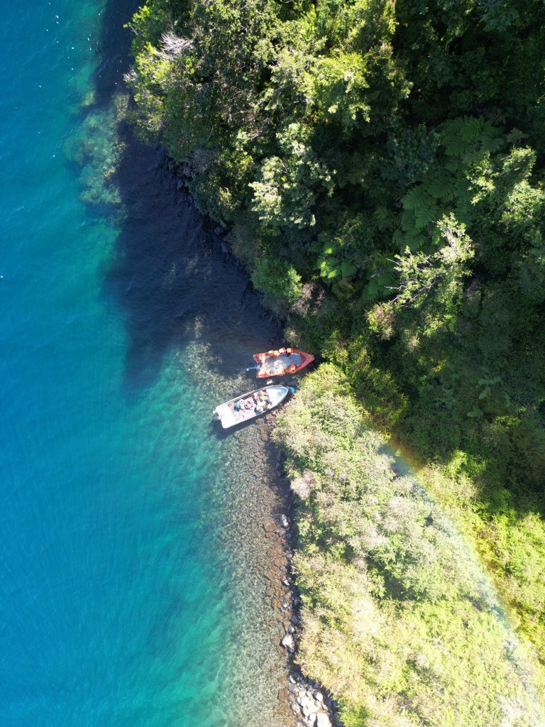 boat canoe trees jungle water river ecotourism chile south america nature