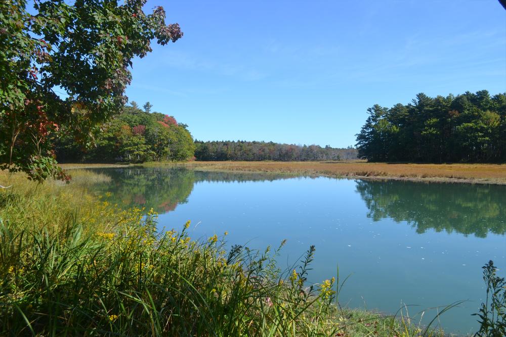 Rachel Carson Wildlife Refuge river view