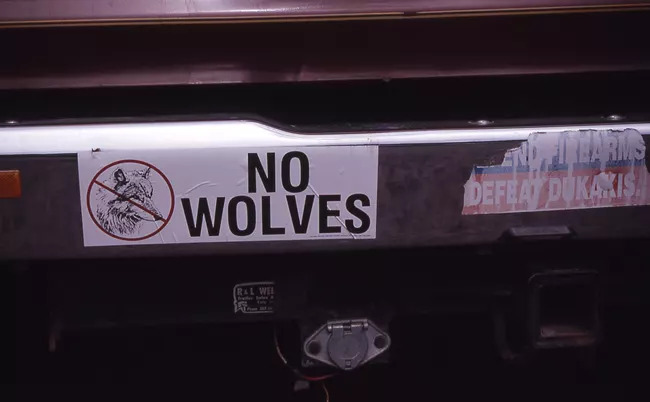 wolves bumper sticker car conservation wildlife hunting