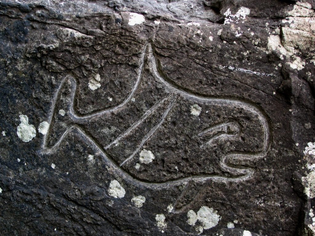 Olympic National Park Wedding Rocks petroglyph orca whale carving cave art indigenous washington state pacific northwest native